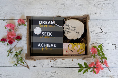 Dream Seek Achieve